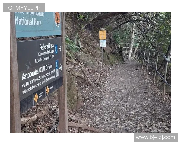 北京极限运动队成员个人能力深度对比与分析探讨MBA